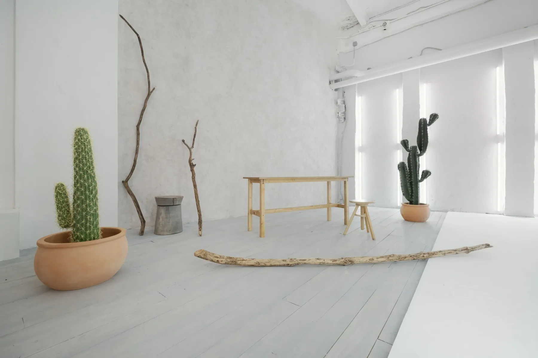Аренда фотостудии WoodStudios Зал CACTUS  в Москве | Фото 