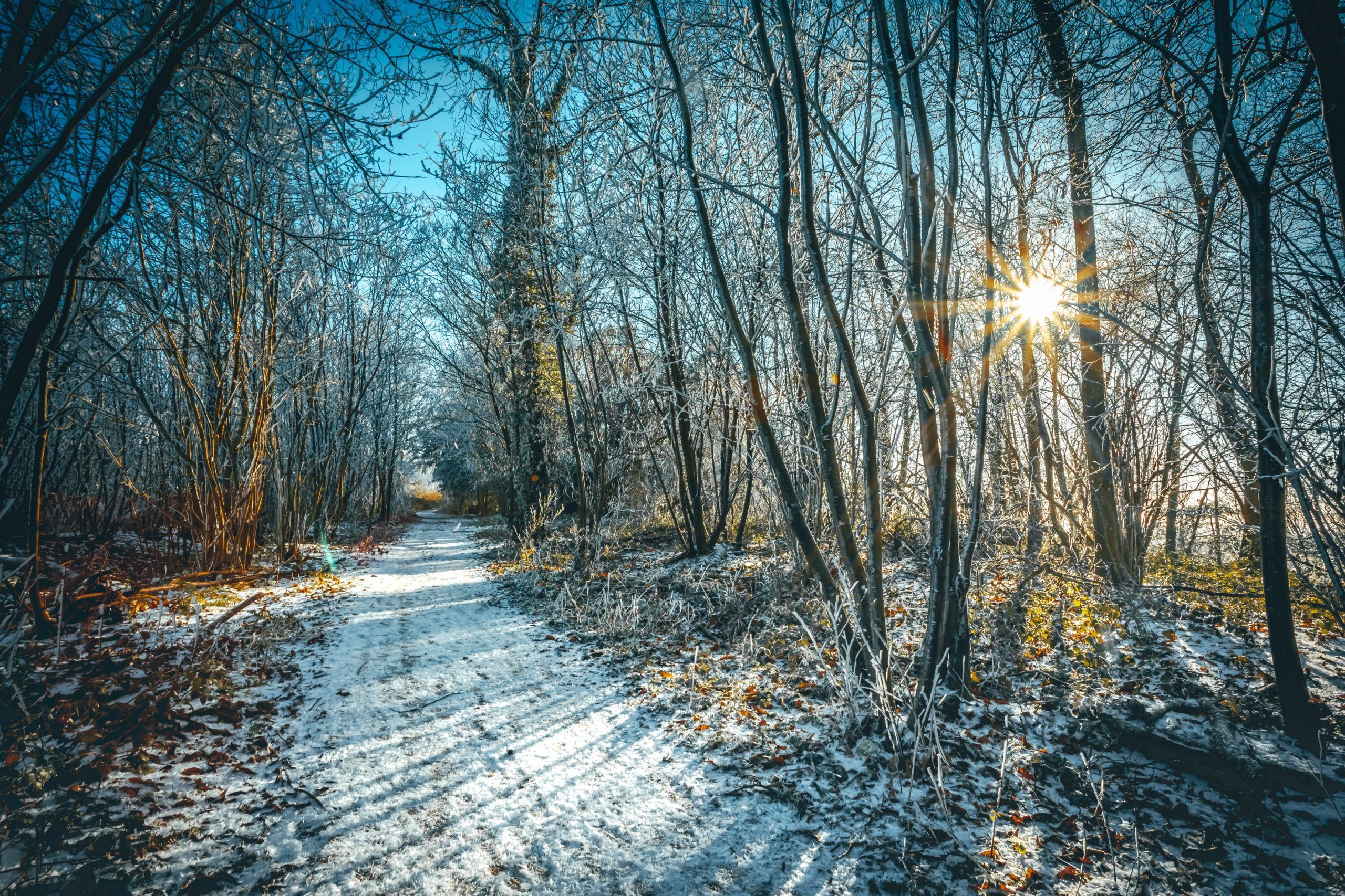 Опубликовать изображение
