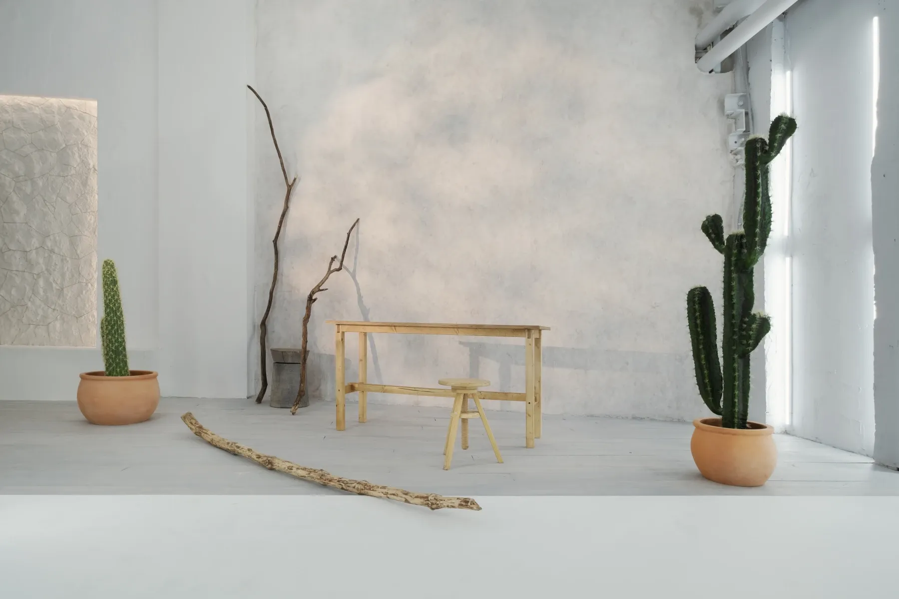 Аренда фотостудии WoodStudios Зал CACTUS  в Москве | Фото 