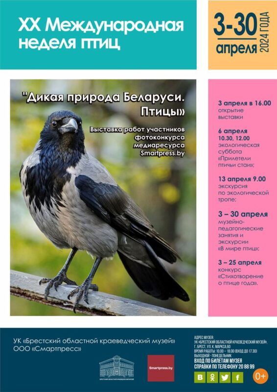 ХХ Международная неделя птиц