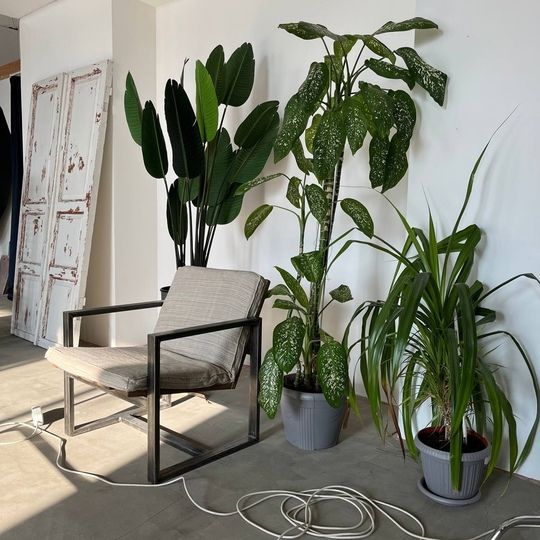 Аренда фотостудии Veter-Studio Зал Loft  В Тамбове | Фото 