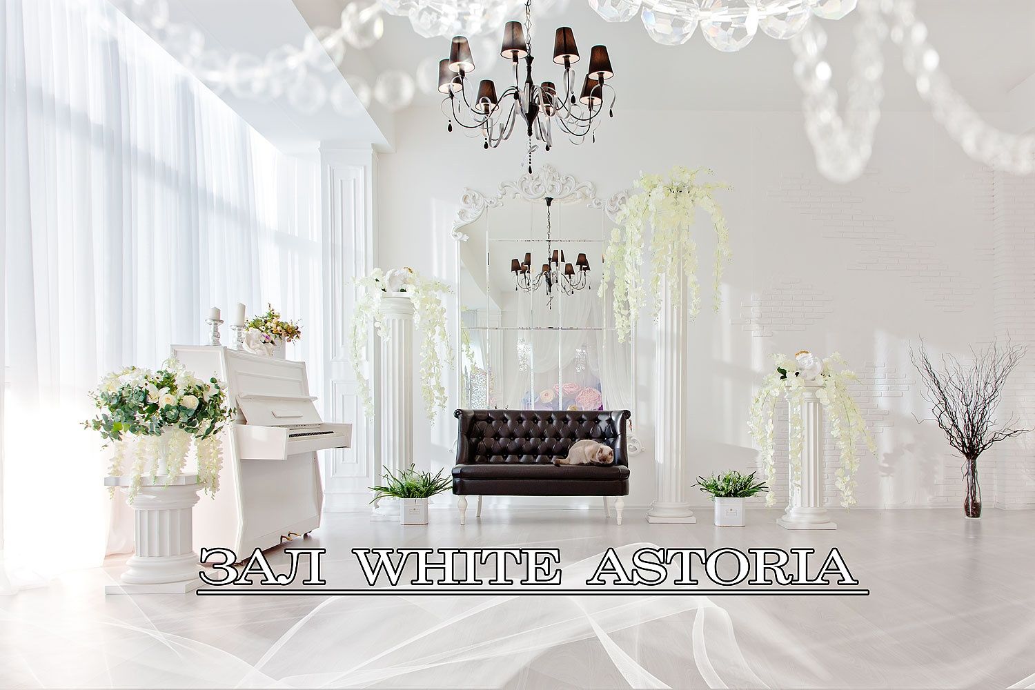 Аренда фотостудии ФОТОИМПЕРИЯ Зал White Astoria в Краснодаре | Фото 