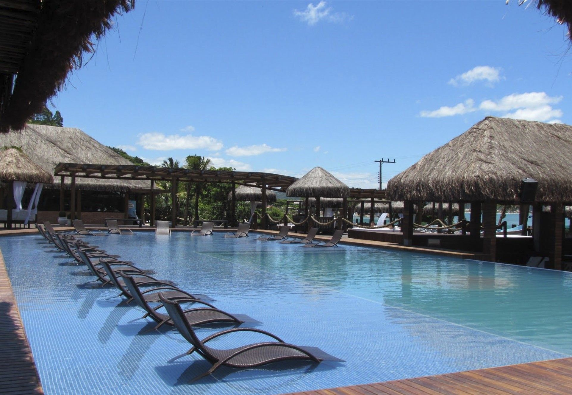 bora_0a76443b79.jpg