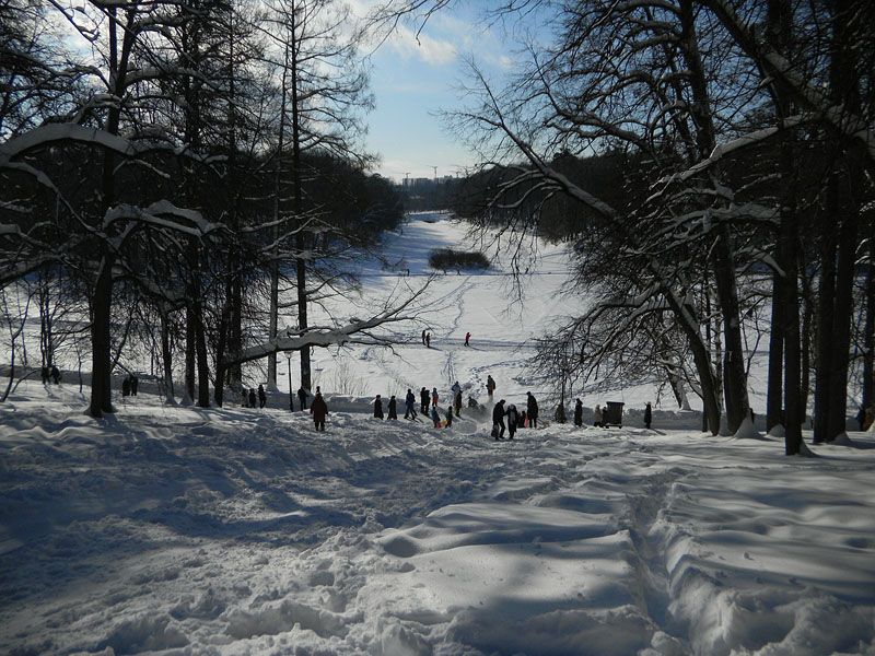 czariczyno_518aa6286a.jpg