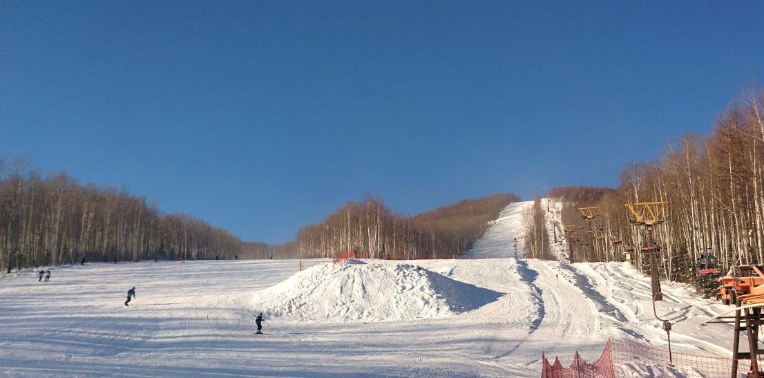 holdomi_38903428e7.jpg