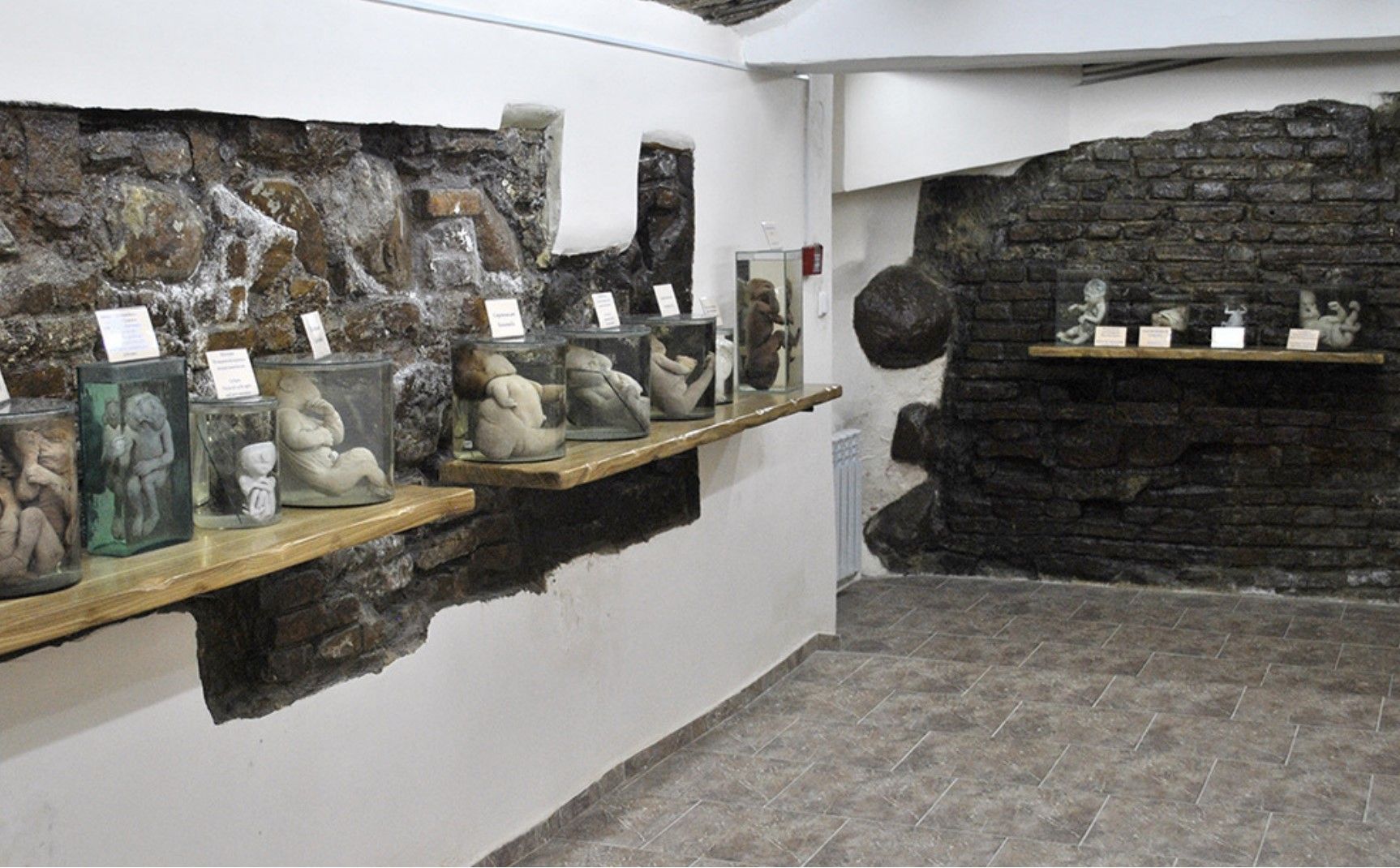 kunstkamera_6d414ebd43.jpg