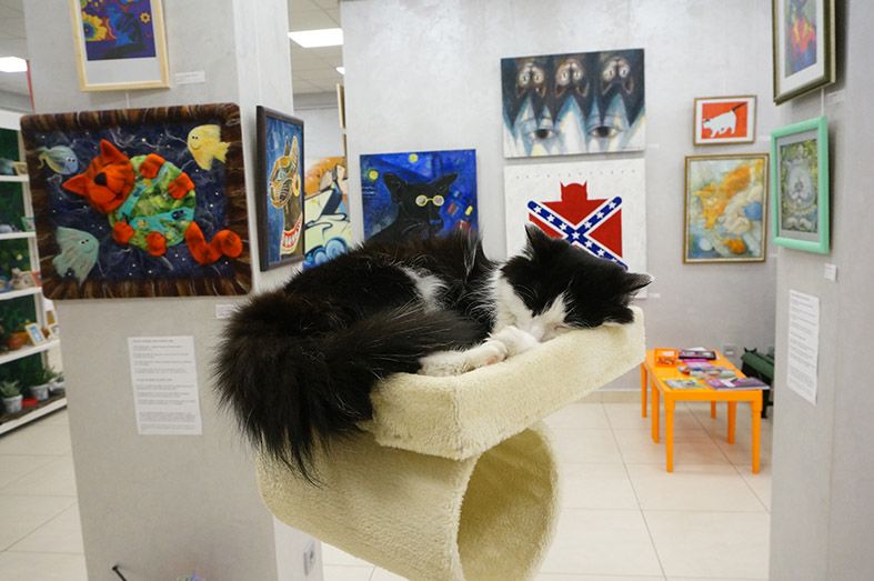 muzej_kota_aa43660c71.jpg