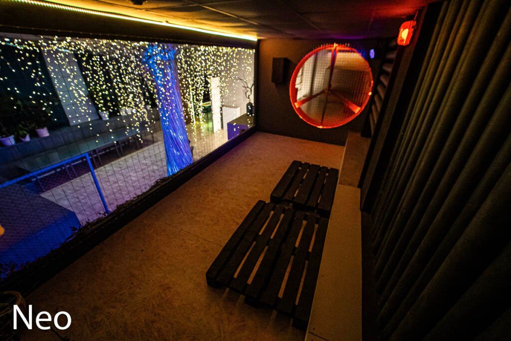 Аренда фотостудии LOFT ROOM35 Зал NEO  в Туле | Фото 