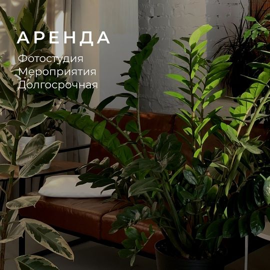 Аренда фотостудии Цех 27 Зал Основной В Орле | Фото 