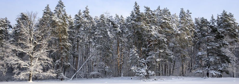 zapovednik_6328970e00.jpg